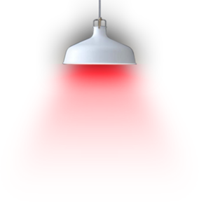 Light